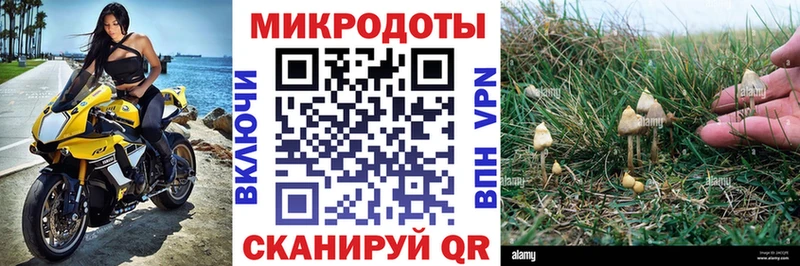 omg вход  сколько стоит  Казань  Псилоцибиновые грибы MAGIC MUSHROOMS 