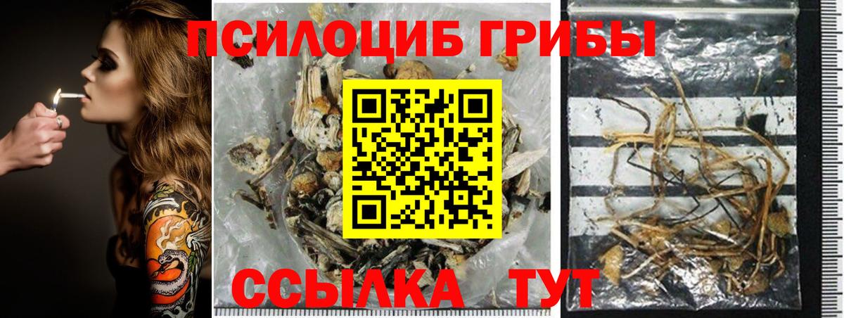 Галлюциногенные грибы Magic Shrooms  Вход с VPN  как найти закладки  Казань 