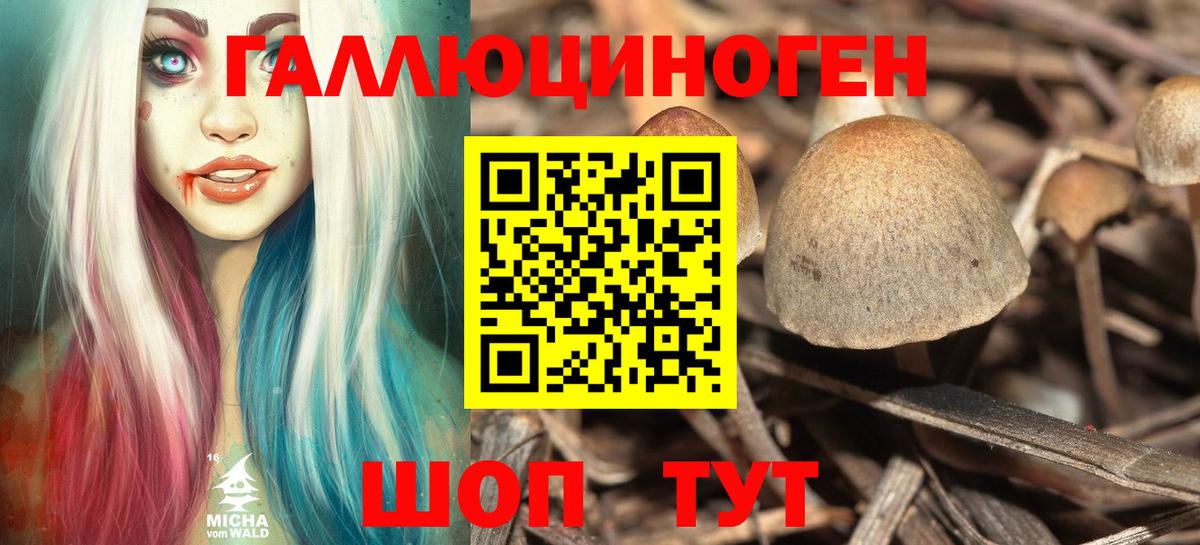 Псилоцибиновые грибы MAGIC MUSHROOMS Казань