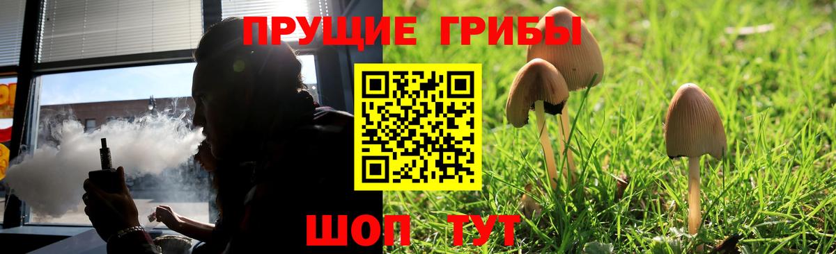 Галлюциногенные грибы Psilocybine cubensis  Казань  Галлюциногенные грибы Magic Shrooms 